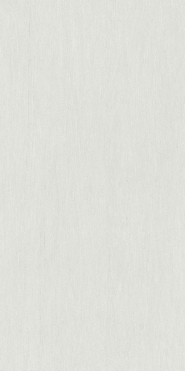 雅素丽银白 VY84091上产品图