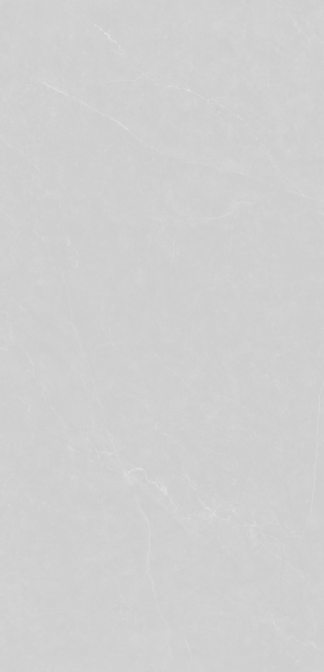 博雅灰  VY175265产品图