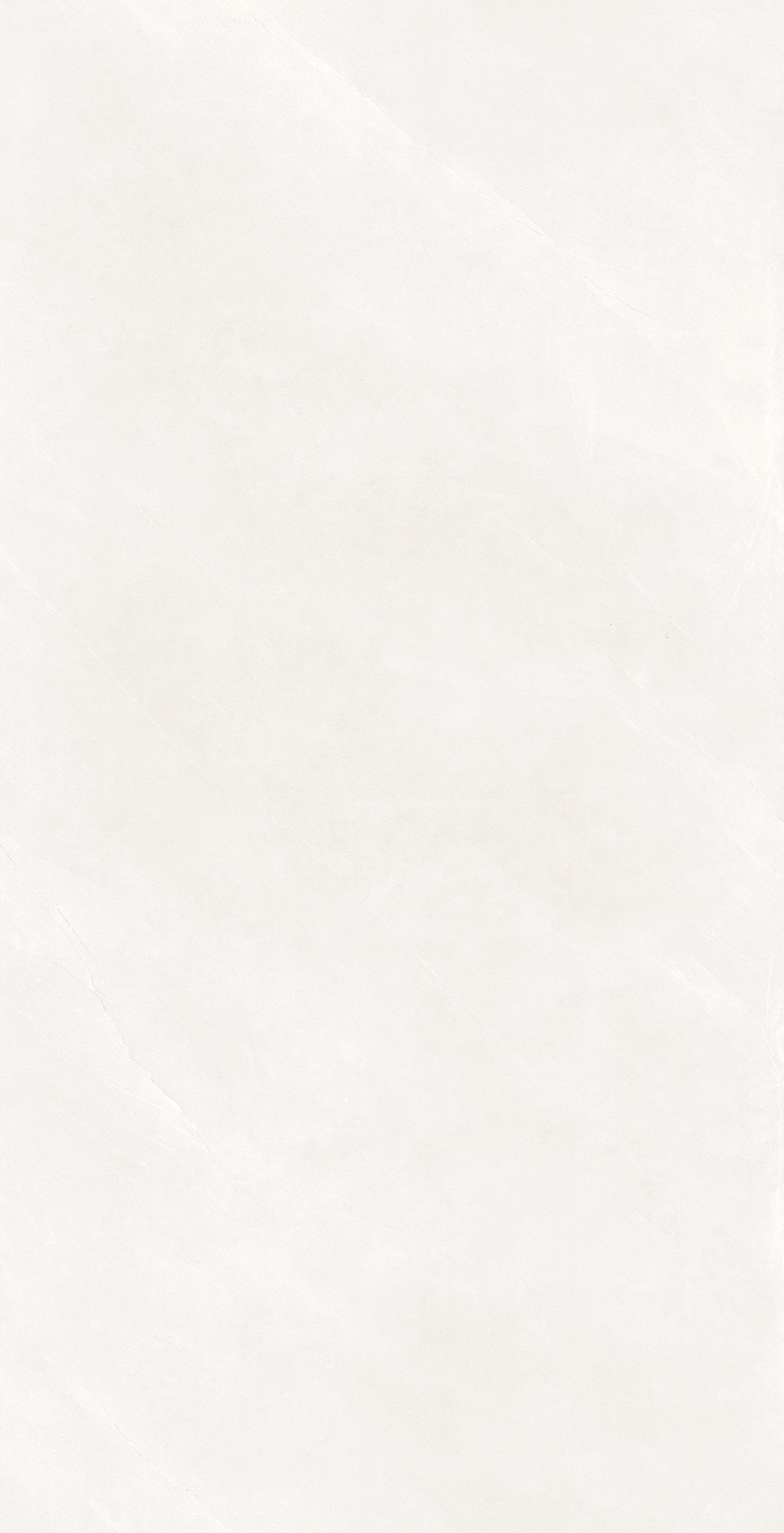 迪奥娜银灰 VT175106产品图