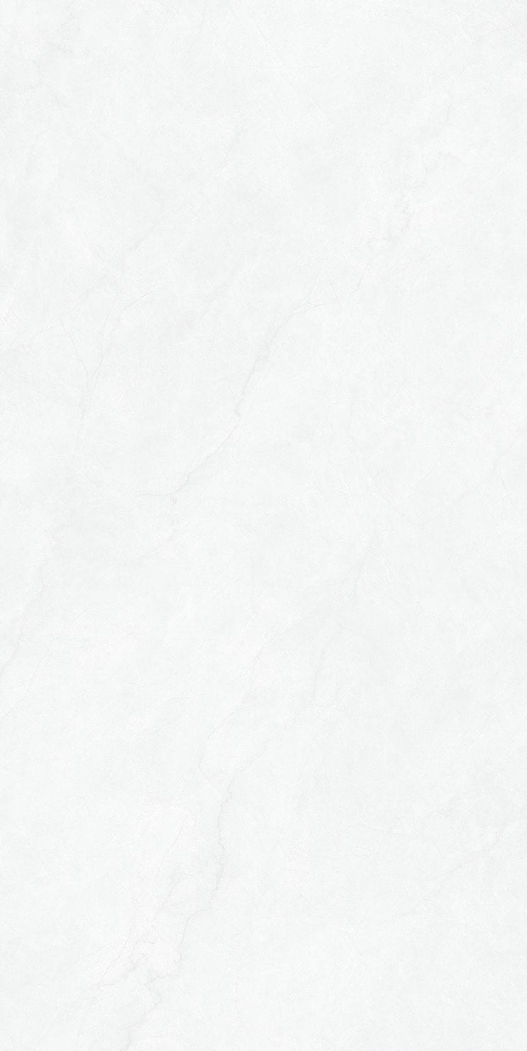 鱼肚白产品图