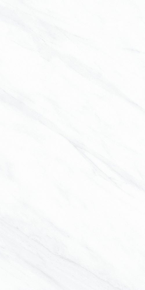 天山白产品图